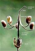  Dehisced Fruit (schizocarp)